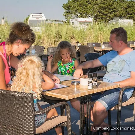 Chalet Loodsmansduin Den Hoorn (North Holland)
