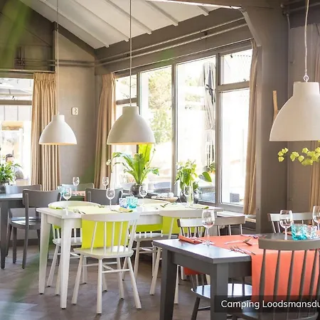Loodsmansduin Chalet *