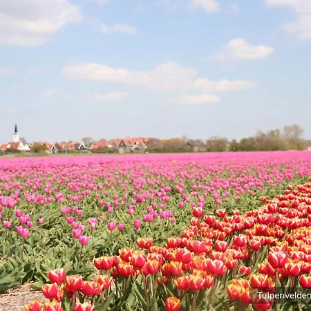 Chalet Loodsmansduin *