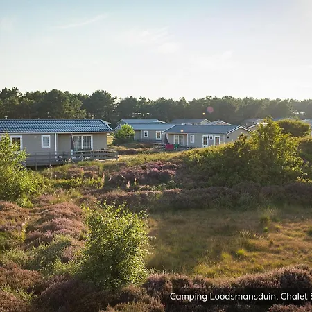 Chalet Loodsmansduin Den Hoorn (North Holland)