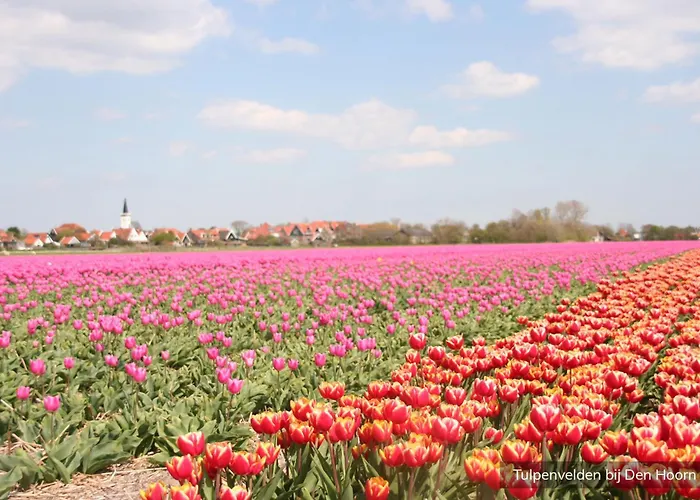 Шале Loodsmansduin *