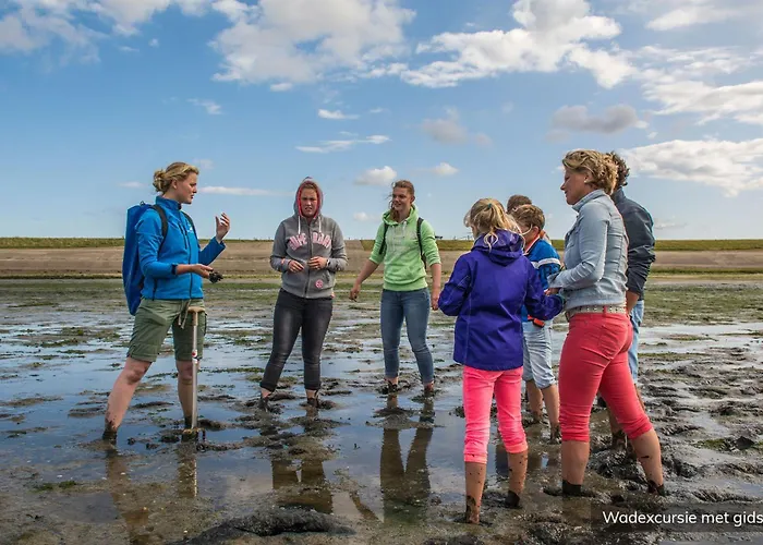 Loodsmansduin Шале *