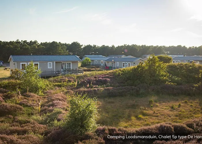 Шале Loodsmansduin Ден-Хорн