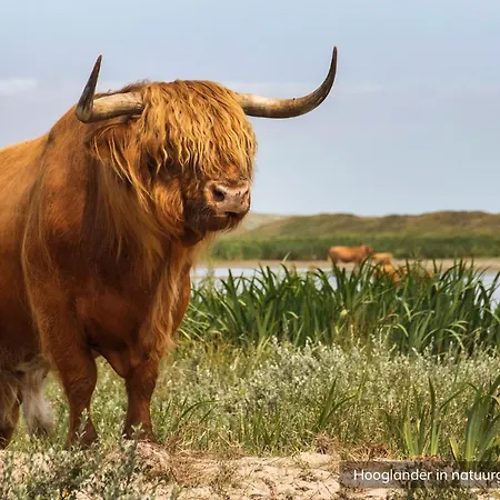 Loodsmansduin Alpstuga Den Hoorn (North Holland)